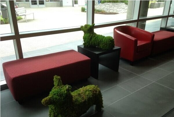 亞馬遜總部辦公室設(shè)計效果8